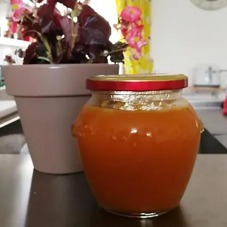 Donna Adelina Frühstückspension